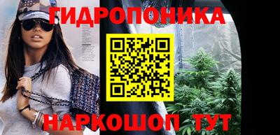 индика Павлово