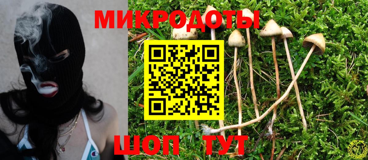 Галлюциногенные грибы Cubensis Муравленко